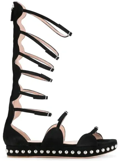 Giambattista Valli Gladiator Sandals In Black