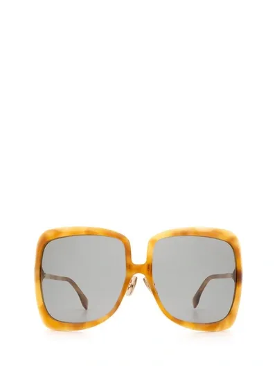 Fendi Ff 0429/s Honey Havana Female Sunglasses