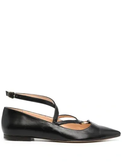 Tila March Pointed Leather Ballerina Shoes In Black