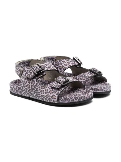 Gallucci Kids' Leopard-print Buckled Leather Sandals In Purple