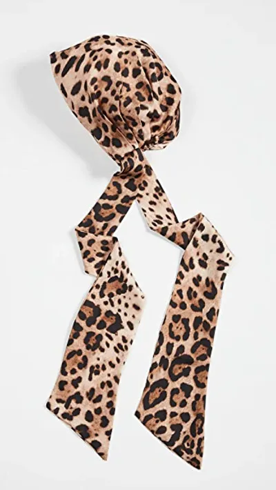 Eugenia Kim Gigi Leopard Print Satin Headscarf In Camel Black