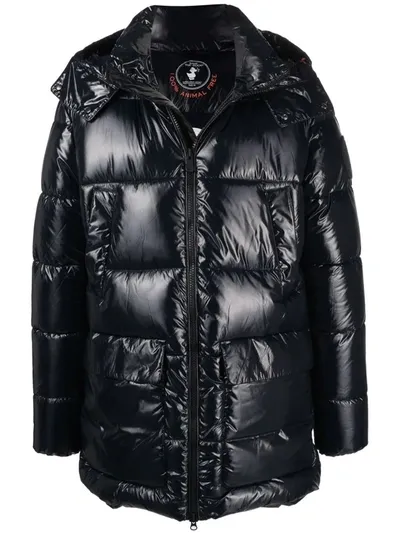 Save The Duck Luck Padded Jacket In Schwarz