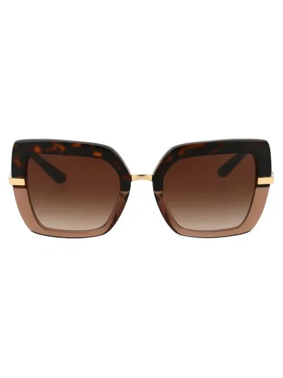 Dolce & Gabbana Eyewear In 325613 Havana On Transparent Brown