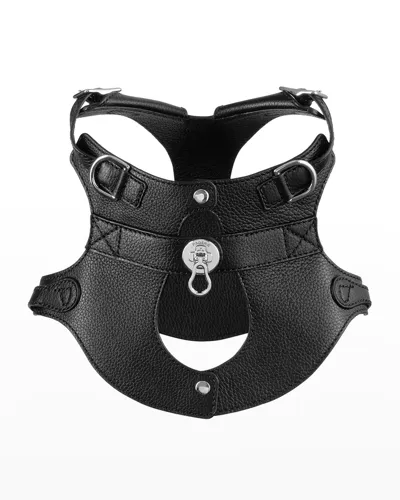 Pagerie The Colombo Dog Harness In Black