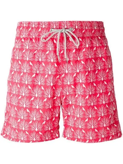 Love Brand Peacock Print Swim Shorts In Red