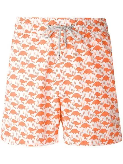 Love Brand Turtle Print Swim Shorts In Yellow