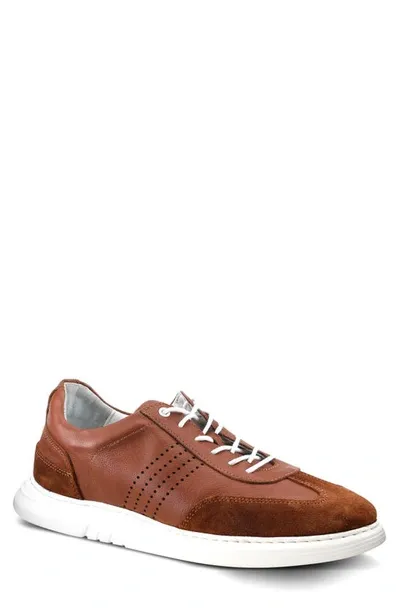 Spring Step Trenton Sneaker In Brown