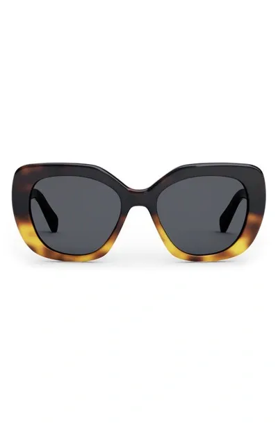 Celine Triomphe 55mm Rectangular Sunglasses In Havana