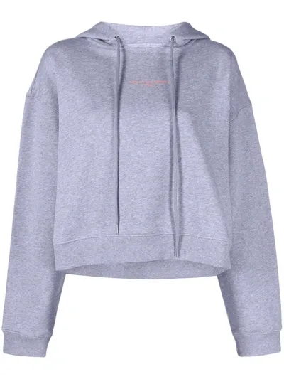 Stella Mccartney Zip-up Hoodie In Grey