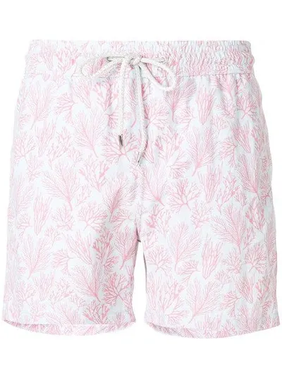 Love Brand Crazy Coral Swim Shorts In Blue