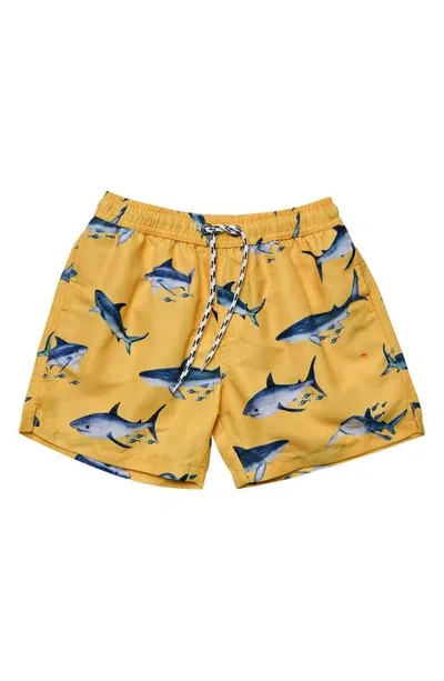 Snapper Rock Kids' Sunrise Shark Volley Board Shorts In Yellow