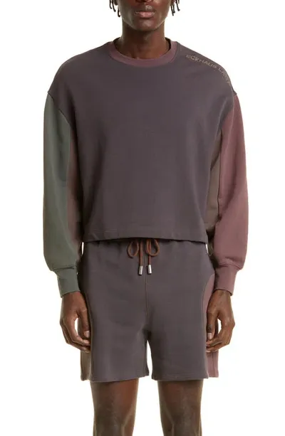 Eckhaus Latta Colorblock Crop Sweatshirt In Braun