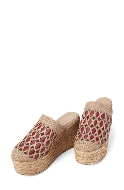 Paloma Barceló Naia Espadrille Wedge Mules In Napa Rubby/noccio