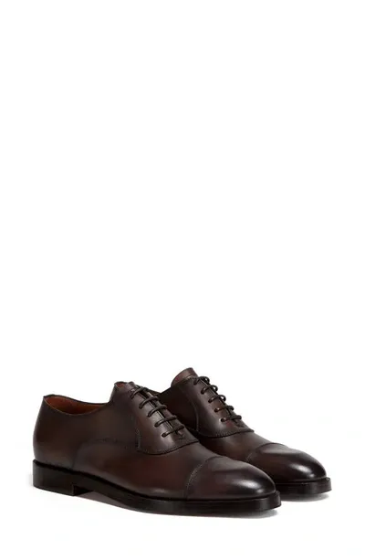 Zegna Men's Torino Cap Toe Leather Oxfords In Dk Brw Sld