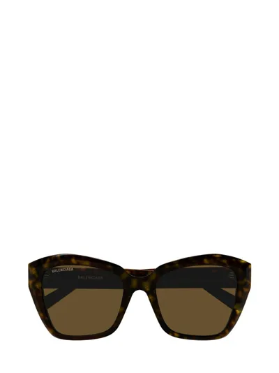 Balenciaga Eyewear Butterfly Frame Sunglasses In Havana