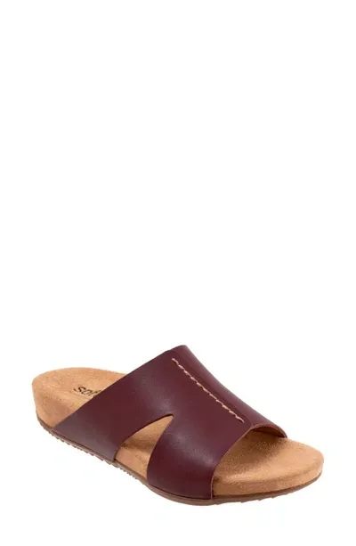 Softwalk Beverly Sandal In Mahogany