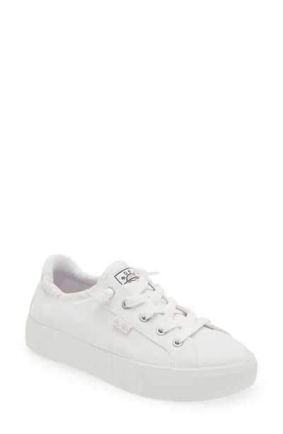 Skechers Royal Kiss Sneaker In White