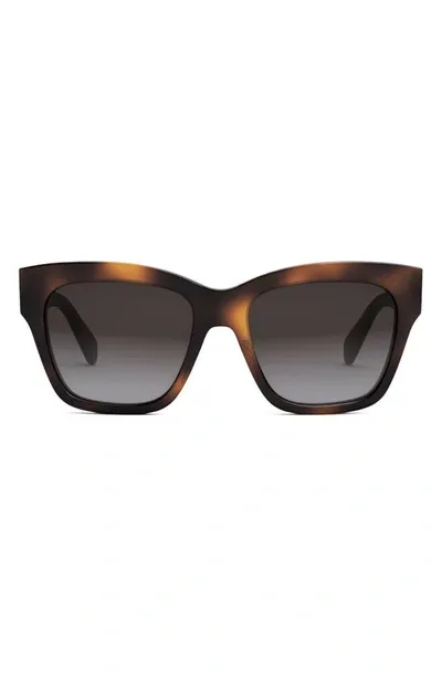 Celine Triomphe Square Acetate Sunglasses In Havana