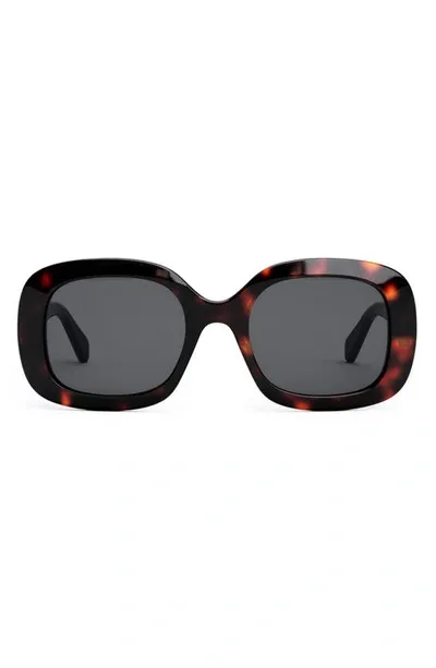 Celine Triomphe Square Acetate Sunglasses In Havana