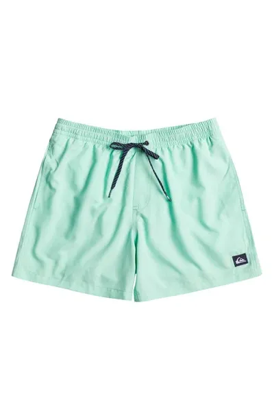 Quiksilver Kids' Everyday Volley Swim Trunks In Beach Glass