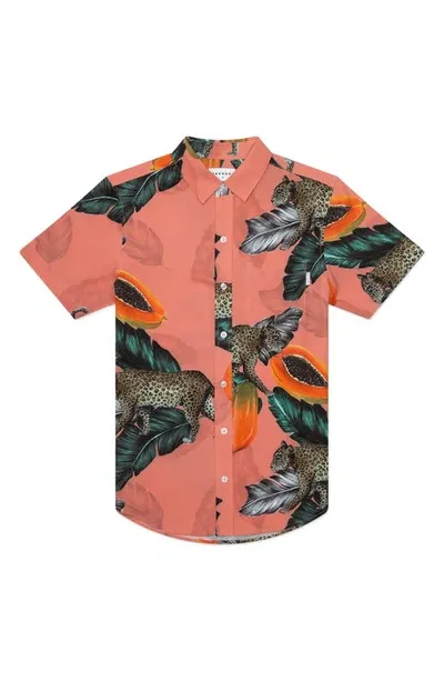 Mavrans Fruta Bomba Shirt In Tangerine