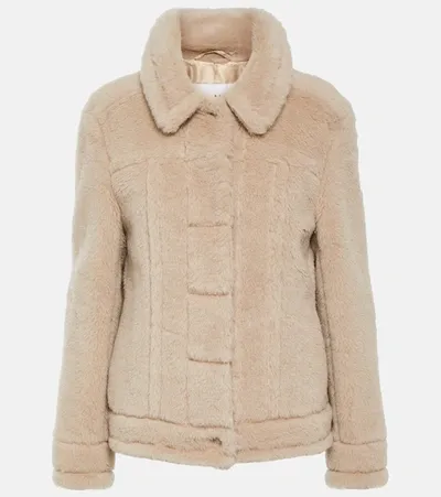 Max Mara Teddy Jacket In Cacha