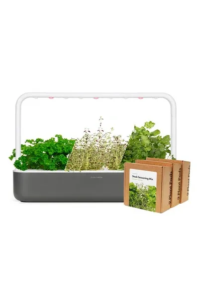 Click & Grow Smart Garden 9 Big Steak Seasoning Kit In Grey