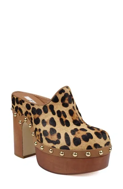 Zigi Johanna Platform Mule In Leopard