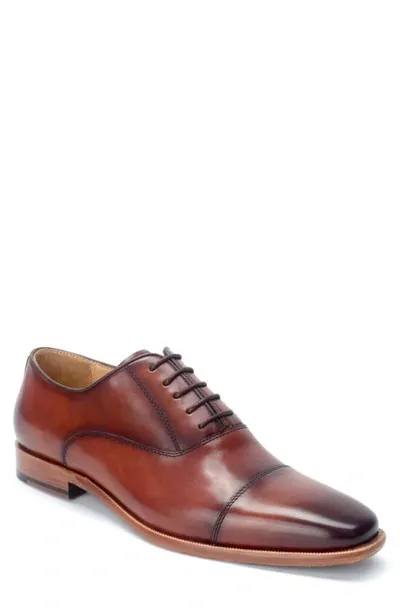 Warfield & Grand Birch Oxford In Chestnut