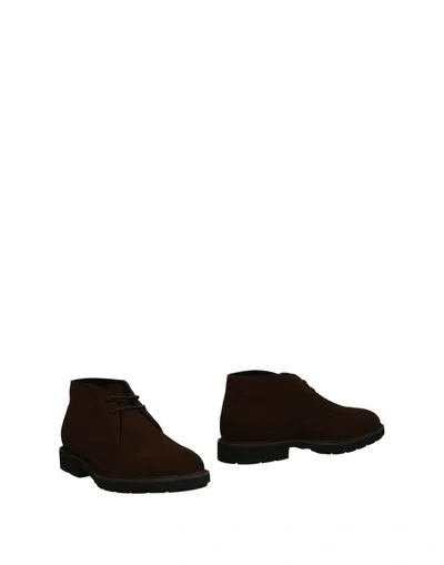 Tod's Ankle Boots In Dark Brown