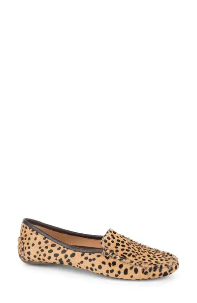 Patricia Green 'jillian' Loafer In Tan/black Spotted