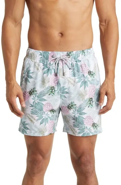 Vintage Summer Stretch Swim Trunks In Sage