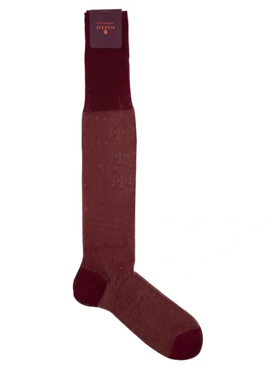 Gallo Long Cotton Socks In Ribes Tifone