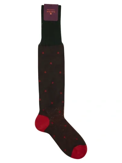 Gallo Polka Dot Cotton Long Socks