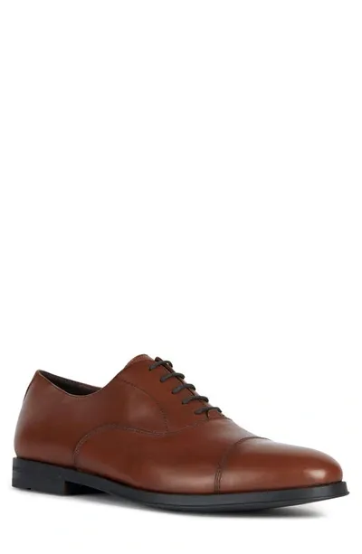 Geox Decio Water Resistant Cap Toe Oxford In Light Brown