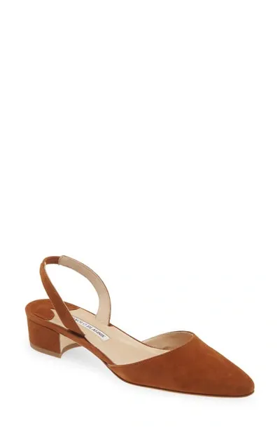 Manolo Blahnik Aspro Block Heel Slingback Suede Pump In Brown