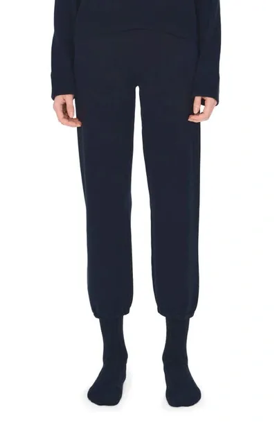 Simkhai Cashmere Cotton Joggers In Midnight