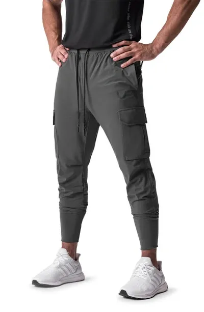 Asrv Tetra-light Cargo Joggers In Space Grey