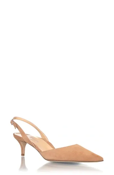 Marion Parke Classic Slingback Pointed Toe Pump In Caramel