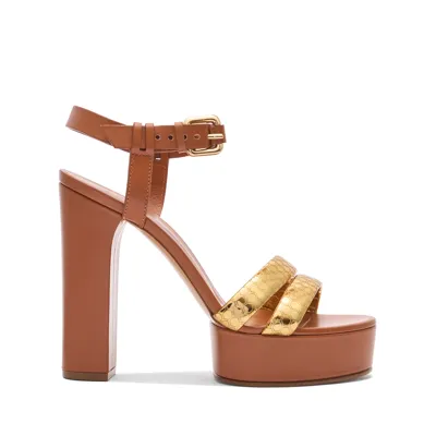 Casadei Atomium Betty - Woman Platforms Gold And Etruria 37