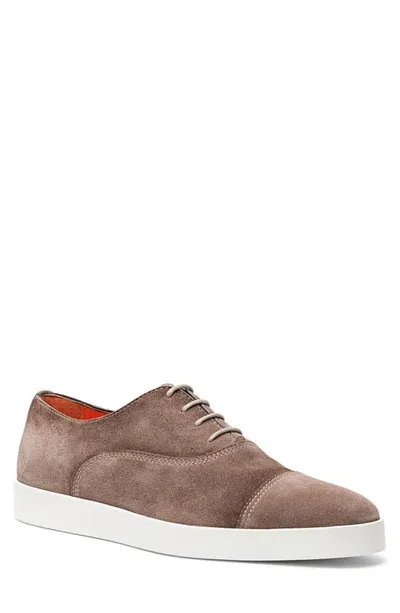 Santoni Behemoth Cap Toe Oxford Sneaker In Braun