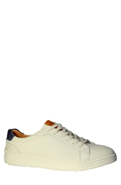 Sandro Moscoloni Franca Sneaker In White