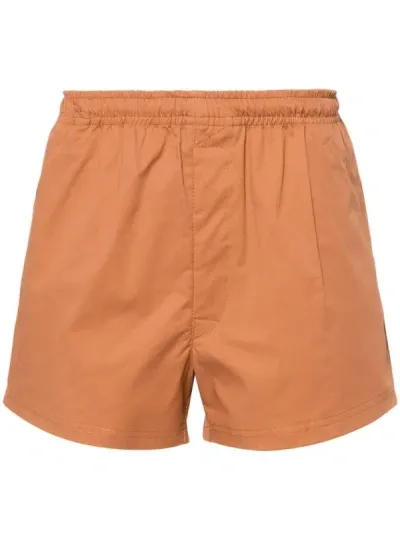 Société Anonyme Nantes Shorts In Brown