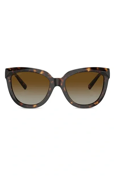 Tiffany & Co 53mm Gradient Polarized Cat Eye Sunglasses In Havana