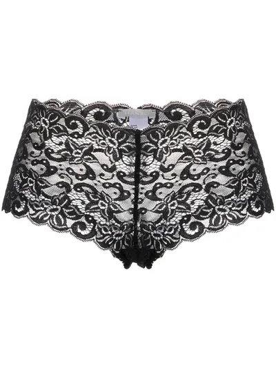 Hanro Luxury Moments Lace Briefs In Black