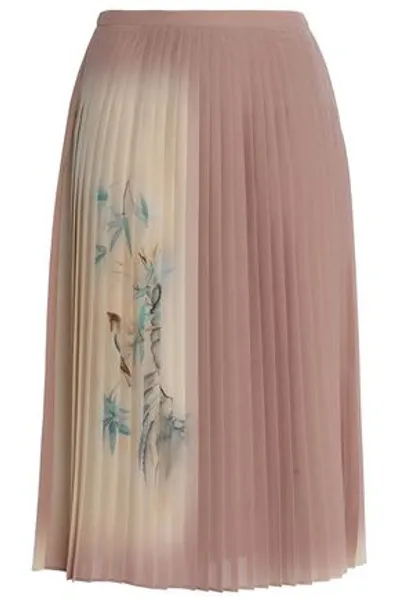 Valentino Pleated Printed Silk Crepe De Chine Skirt In Antique Rose