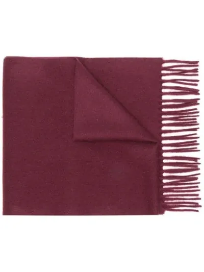 Lanvin Tassel Scarf In Red