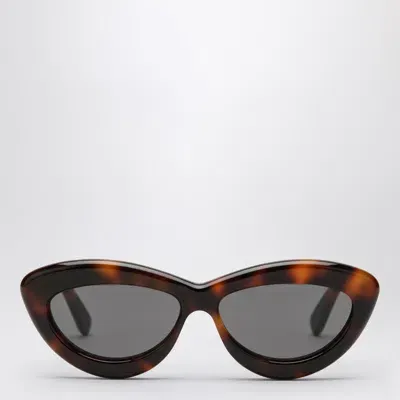 Loewe Cat-eye Sunglasses Havana In Brown