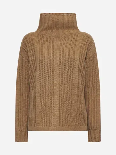 Max Mara Vitalba Wool And Cashmere Sweater In Camel