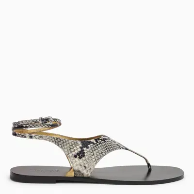 Paris Texas Amalfi Thong Sandal In Leather In Multicolor